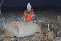 Olivia Cow Elk 2023